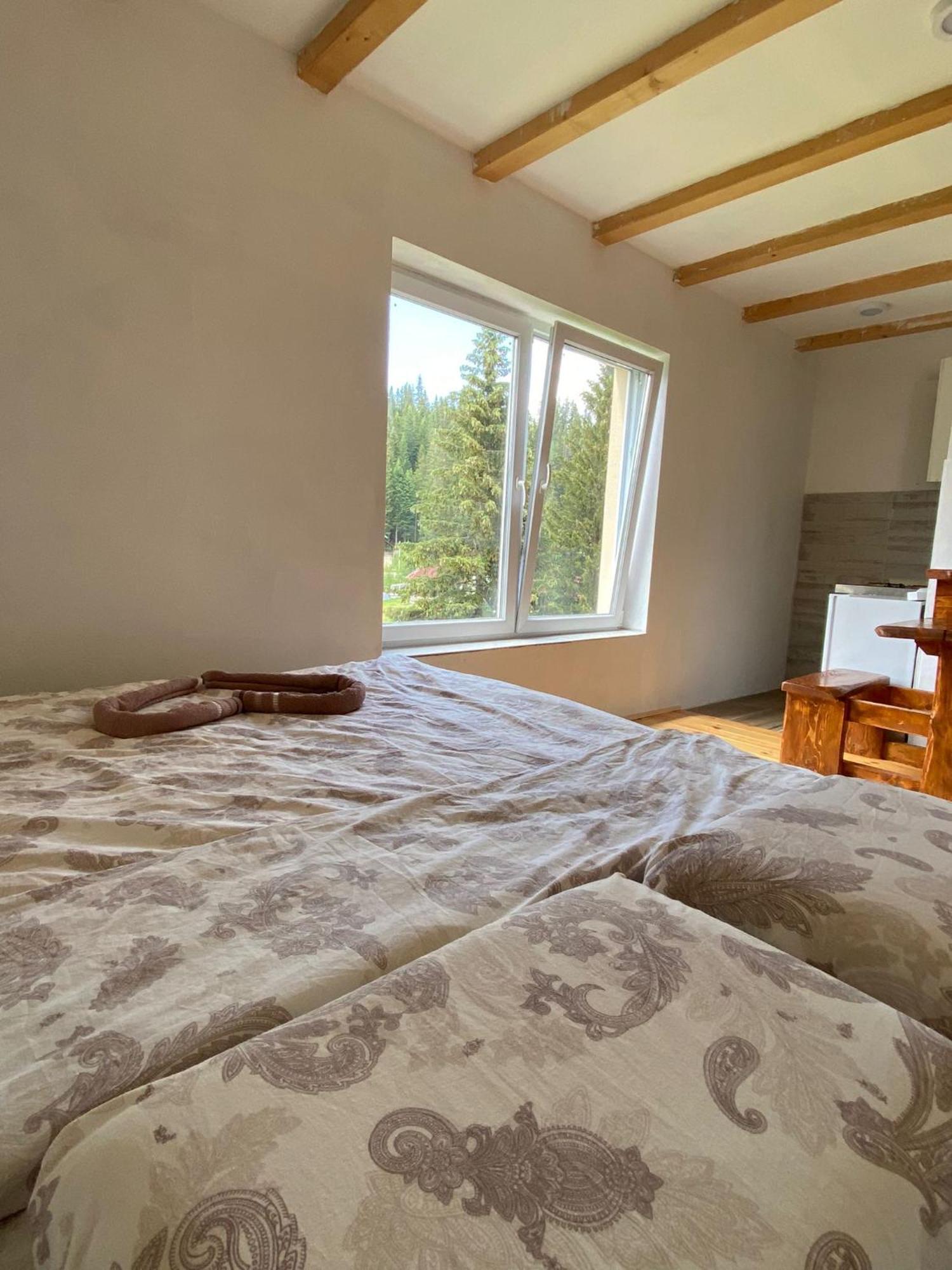 Apartment Durmitor Žabljak Cameră foto